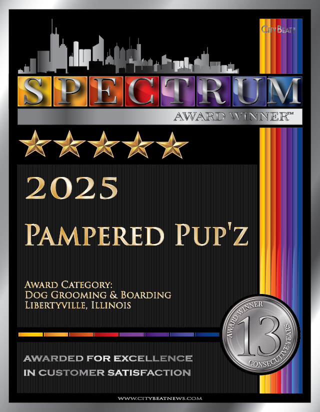 Pampered Pup'z wins 2025 Spectrum Award